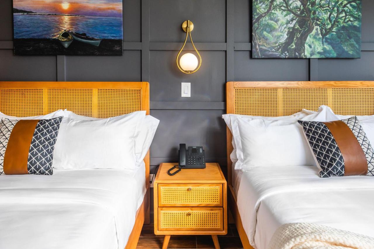 The Modernist Hotel นิวยอร์ก ภายนอก รูปภาพ